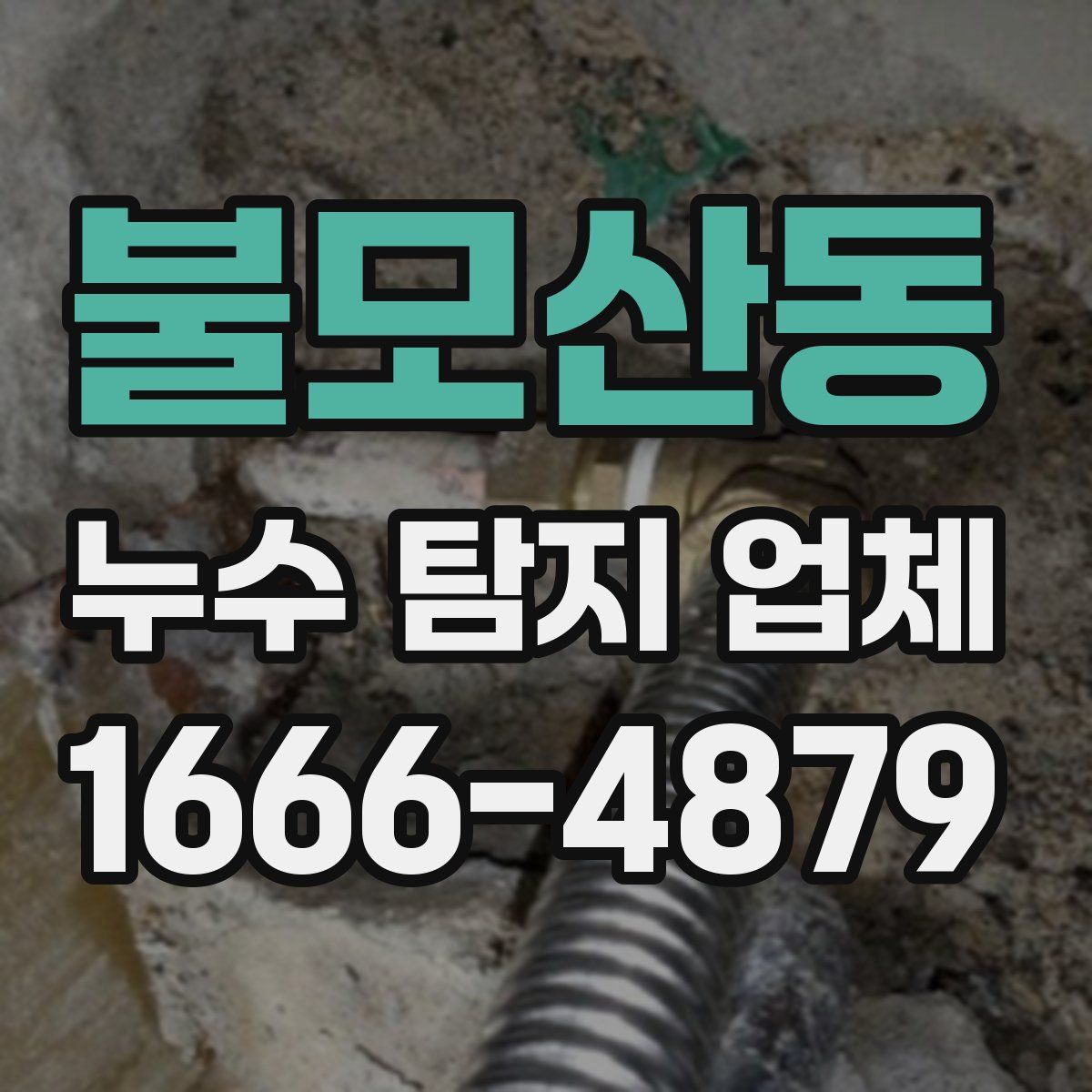 불모산동 누수 탐지 업체