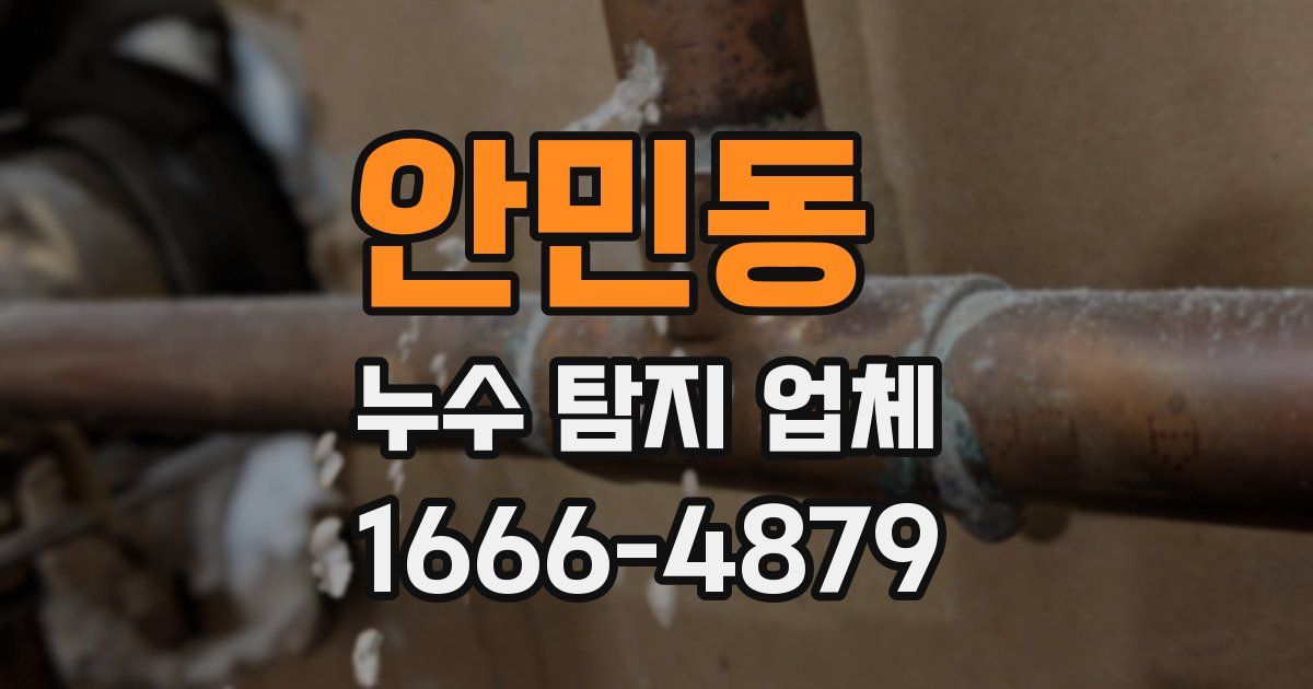 안민동 누수 탐지 업체