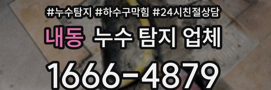 내동 누수 탐지 업체