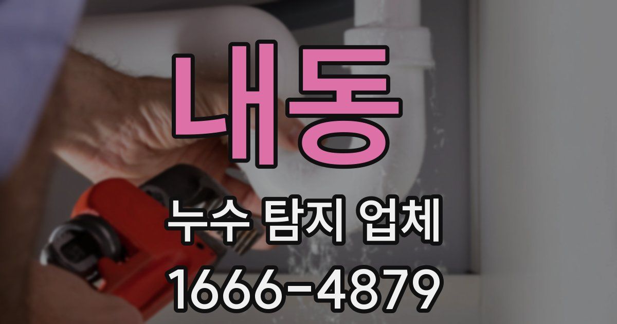내동 누수 탐지 업체