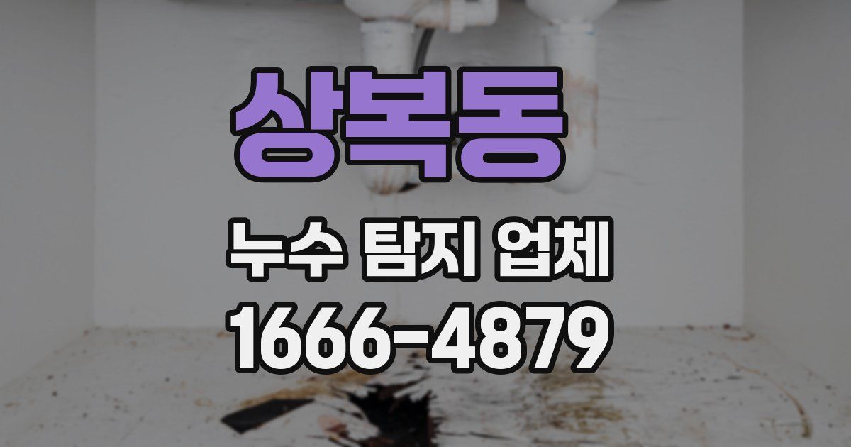 상복동 누수 탐지 업체