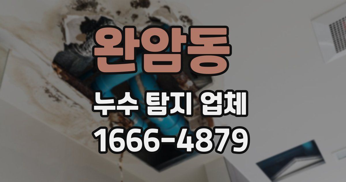 완암동 누수 탐지 업체