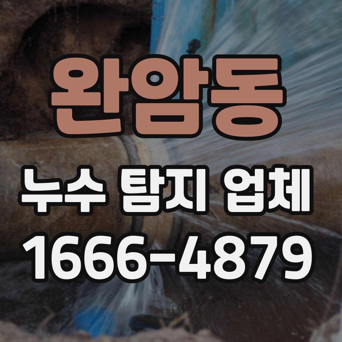 완암동 누수 탐지 업체