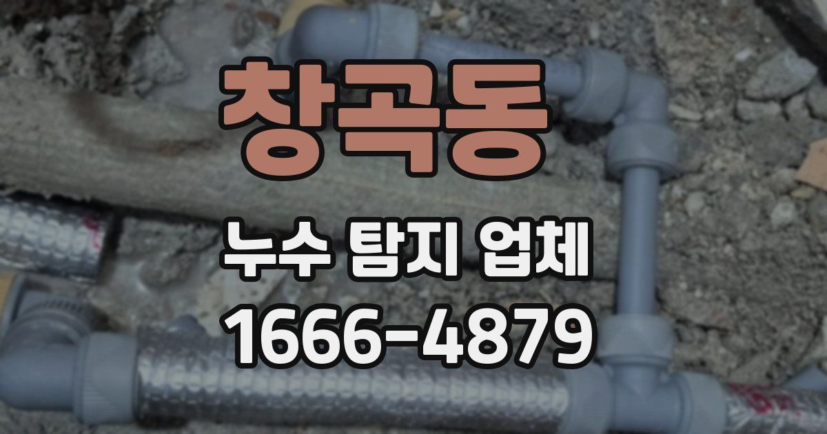 창곡동 누수 탐지 업체