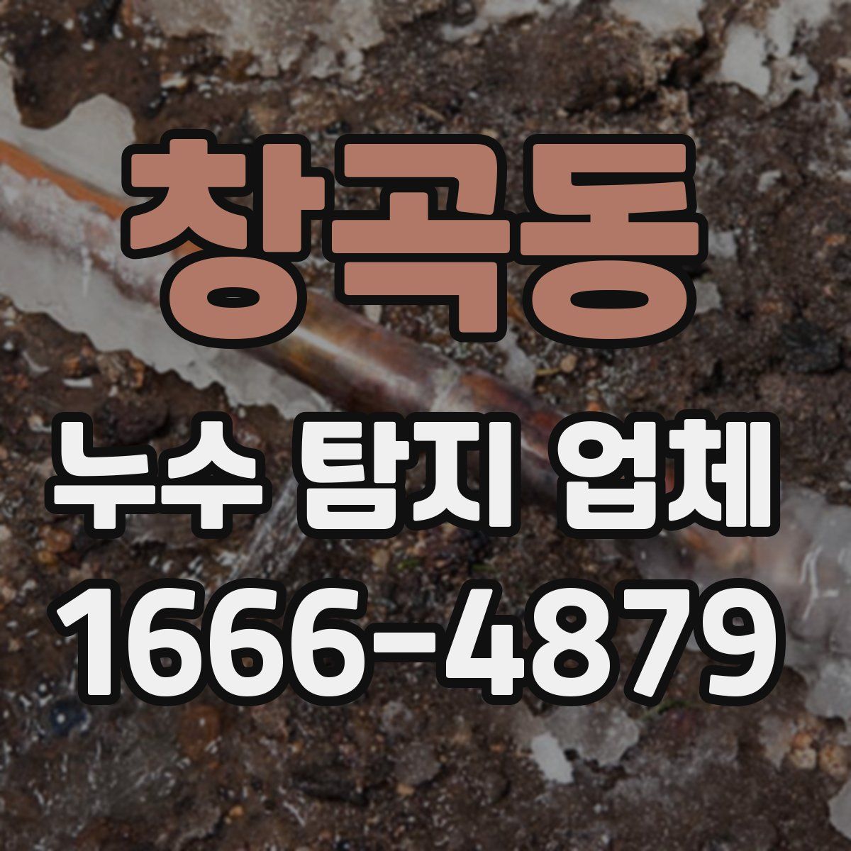 창곡동 누수 탐지 업체