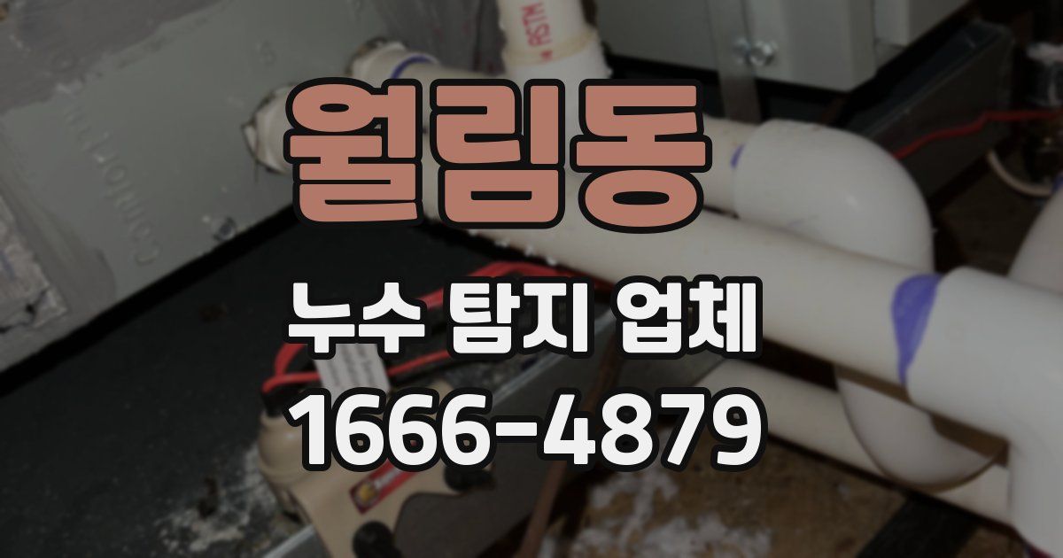 월림동 누수 탐지 업체