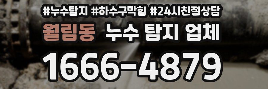 월림동 누수 탐지 업체