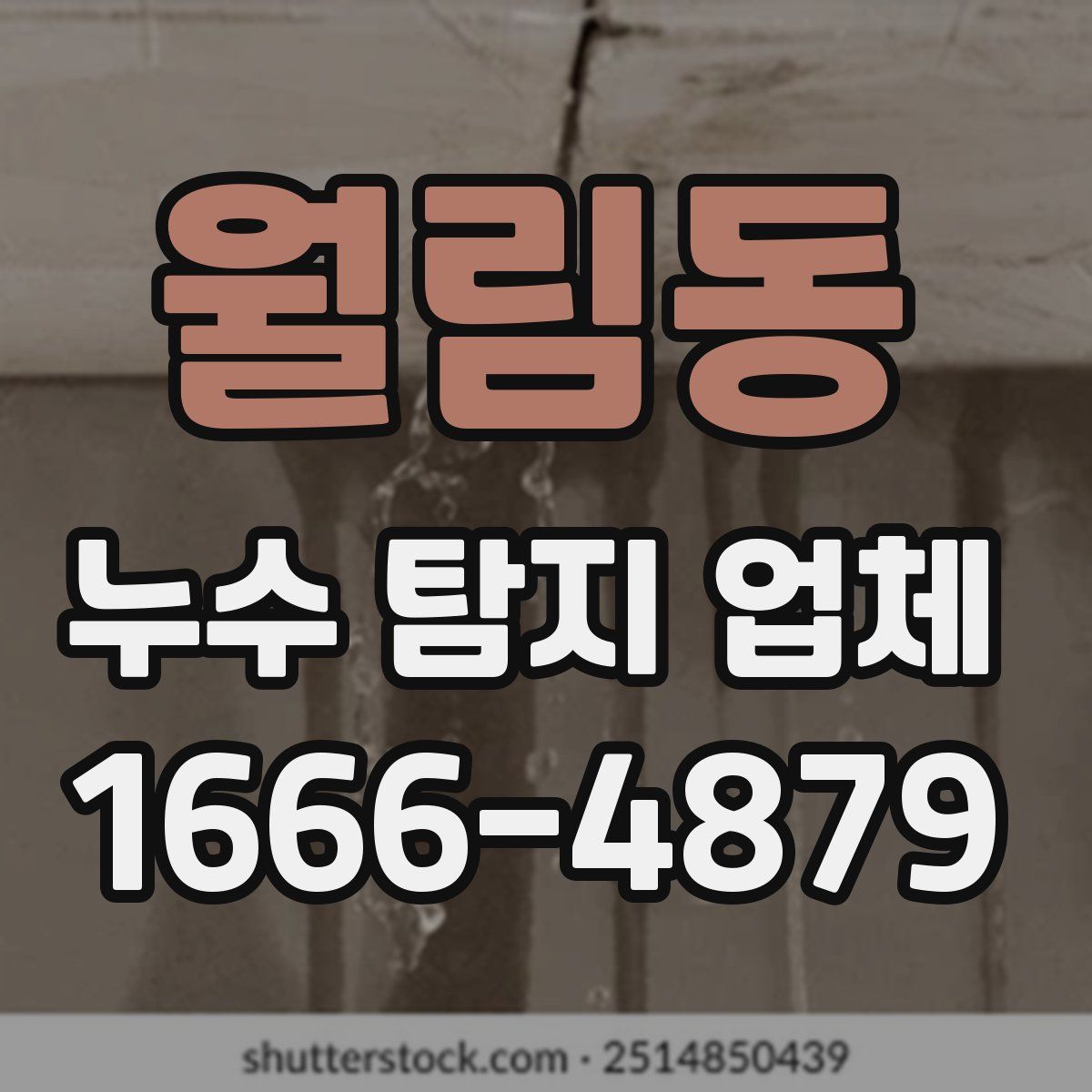 월림동 누수 탐지 업체