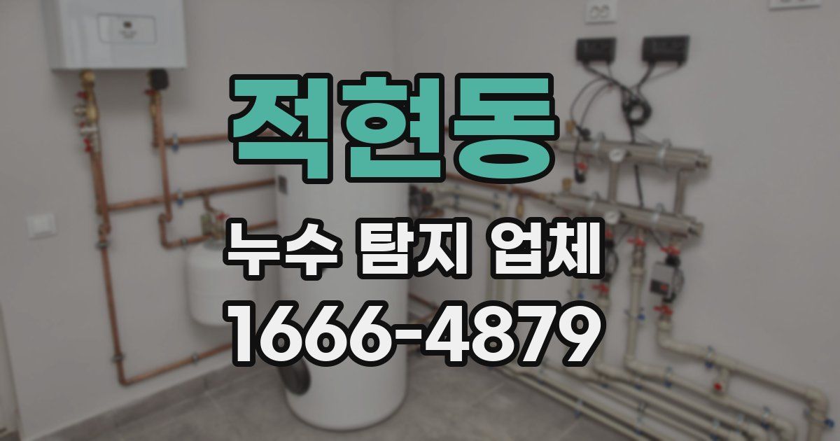 적현동 누수 탐지 업체