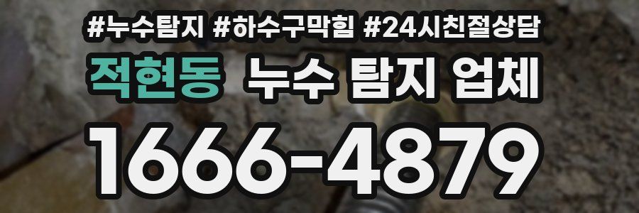 적현동 누수 탐지 업체