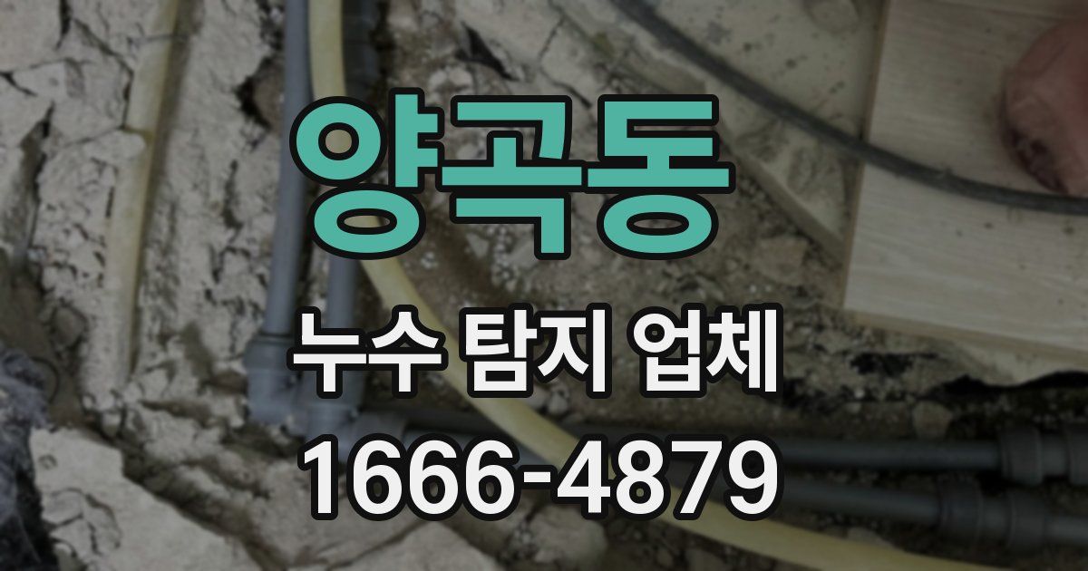 양곡동 누수 탐지 업체