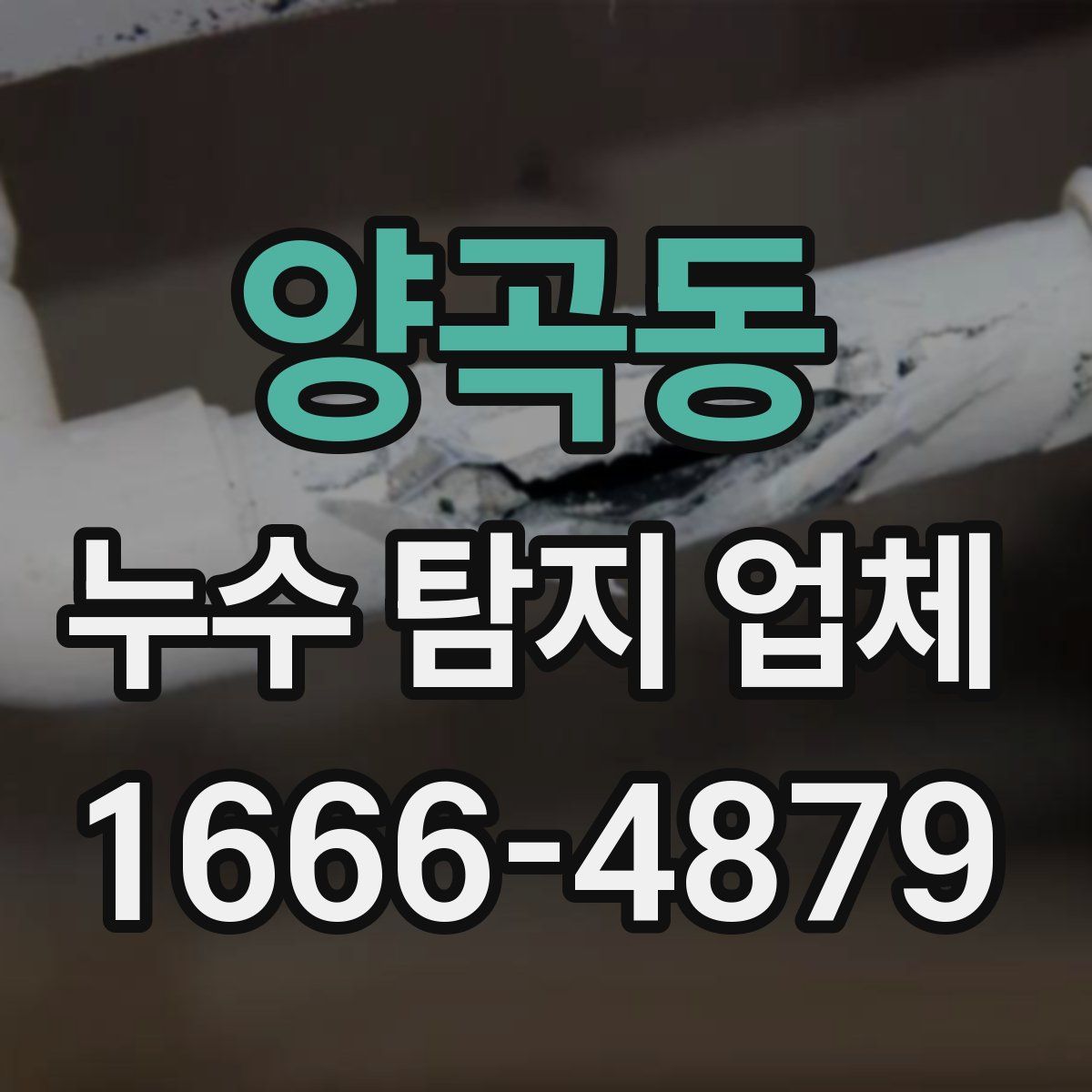 양곡동 누수 탐지 업체