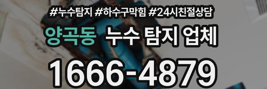 양곡동 누수 탐지 업체