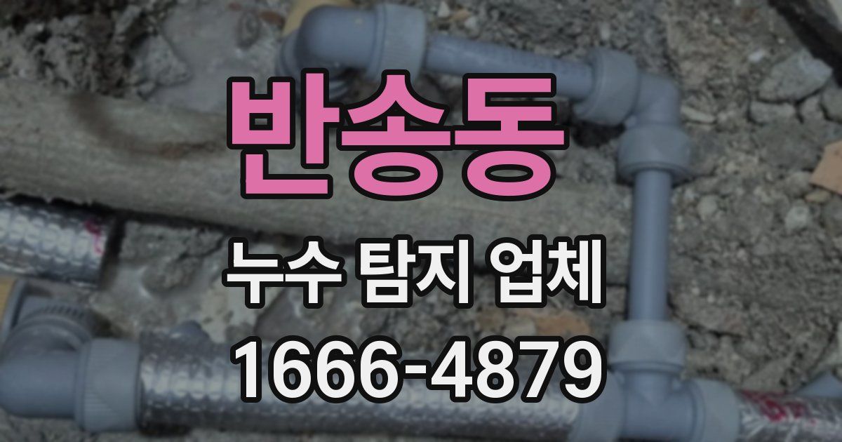 반송동 누수 탐지 업체