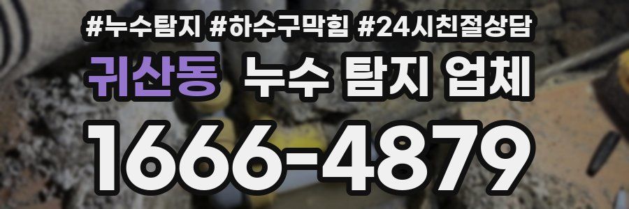 귀산동 누수 탐지 업체