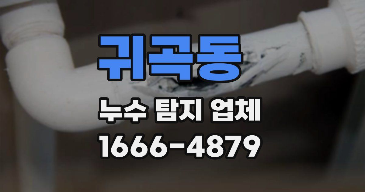 귀곡동 누수 탐지 업체