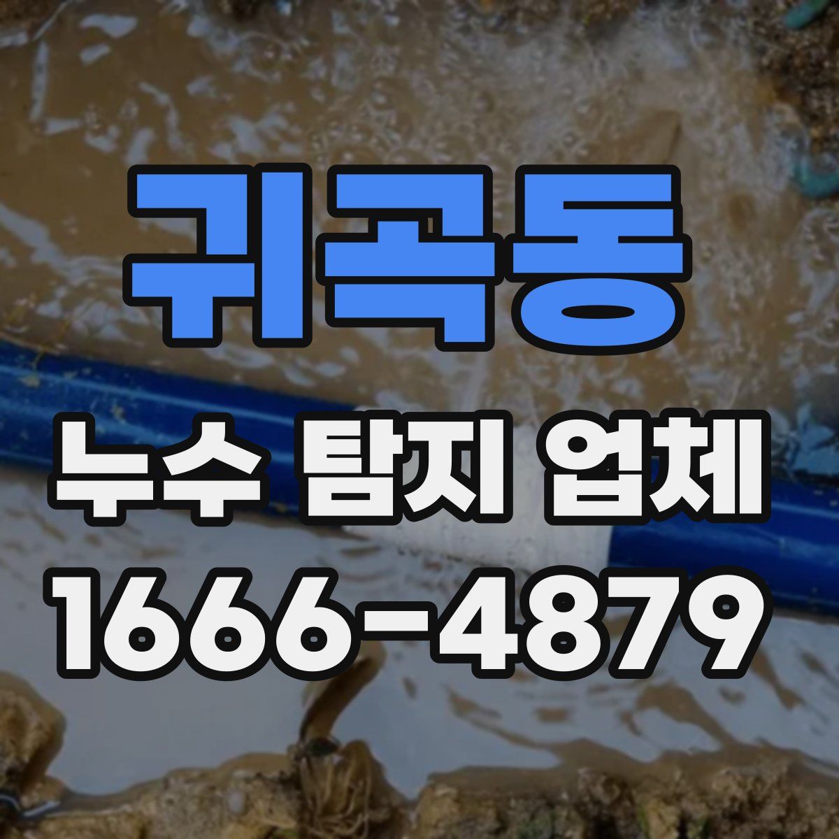 귀곡동 누수 탐지 업체