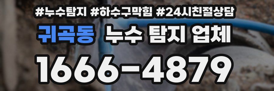 귀곡동 누수 탐지 업체