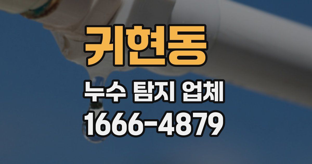 귀현동 누수 탐지 업체