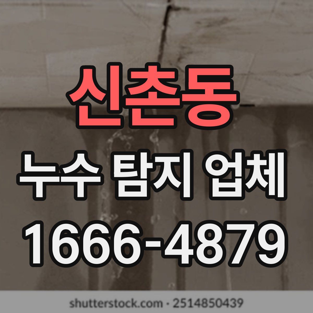 신촌동 누수 탐지 업체