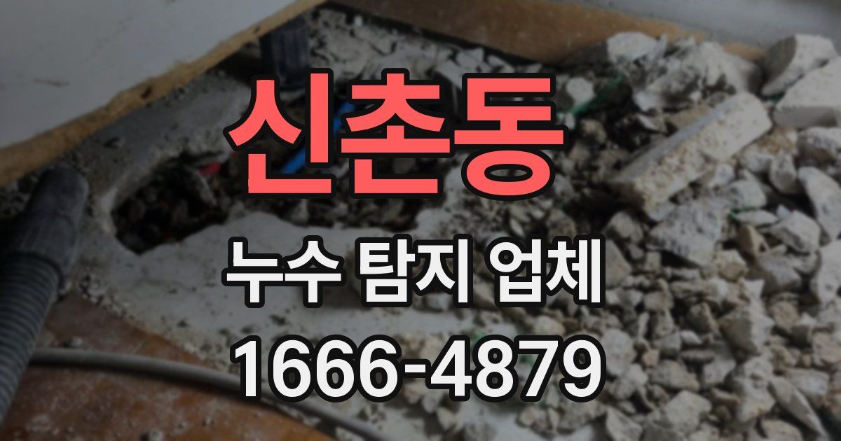 신촌동 누수 탐지 업체