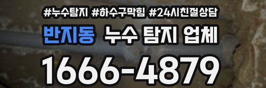 반지동 누수 탐지 업체