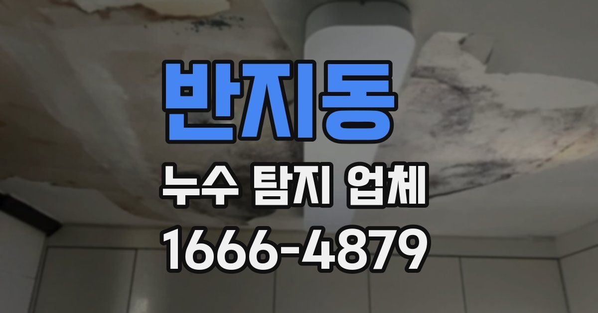 반지동 누수 탐지 업체