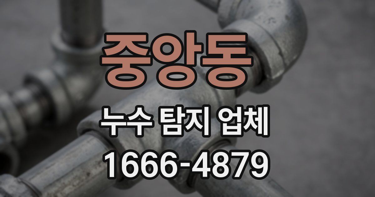 중앙동 누수 탐지 업체