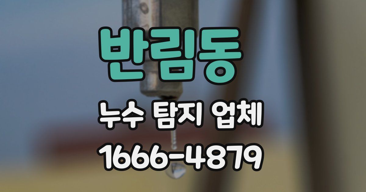 반림동 누수 탐지 업체