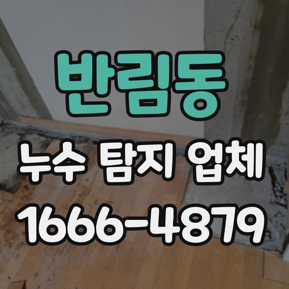 반림동 누수 탐지 업체