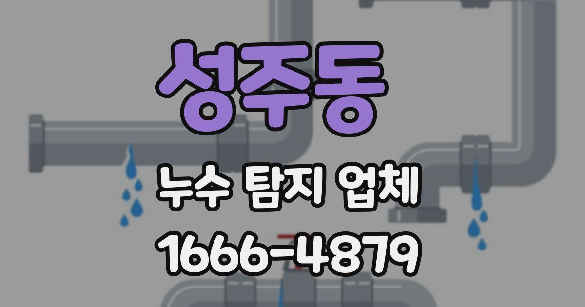 성주동 누수 탐지 업체