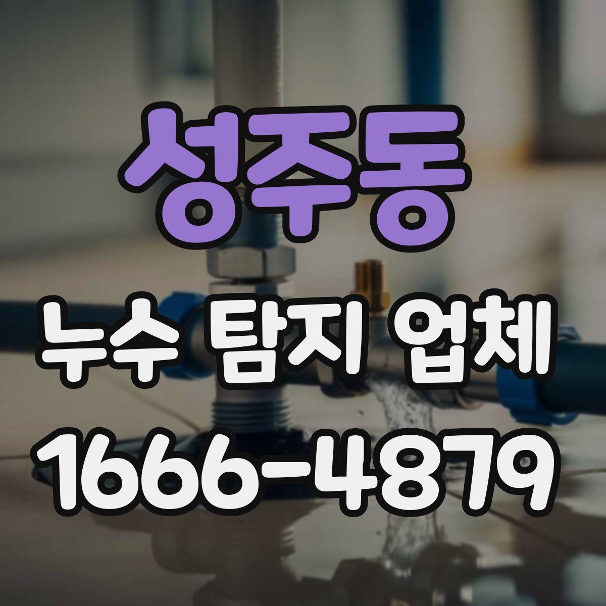 성주동 누수 탐지 업체
