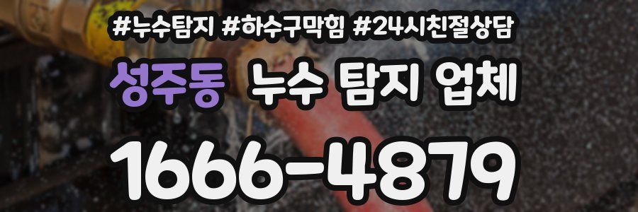 성주동 누수 탐지 업체