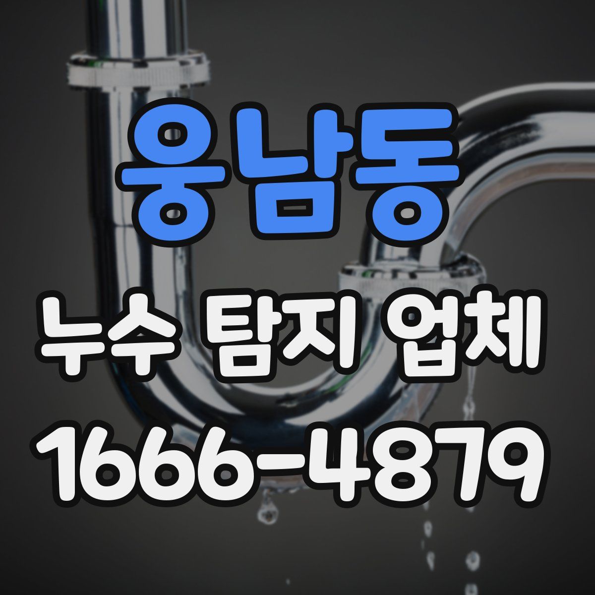 웅남동 누수 탐지 업체