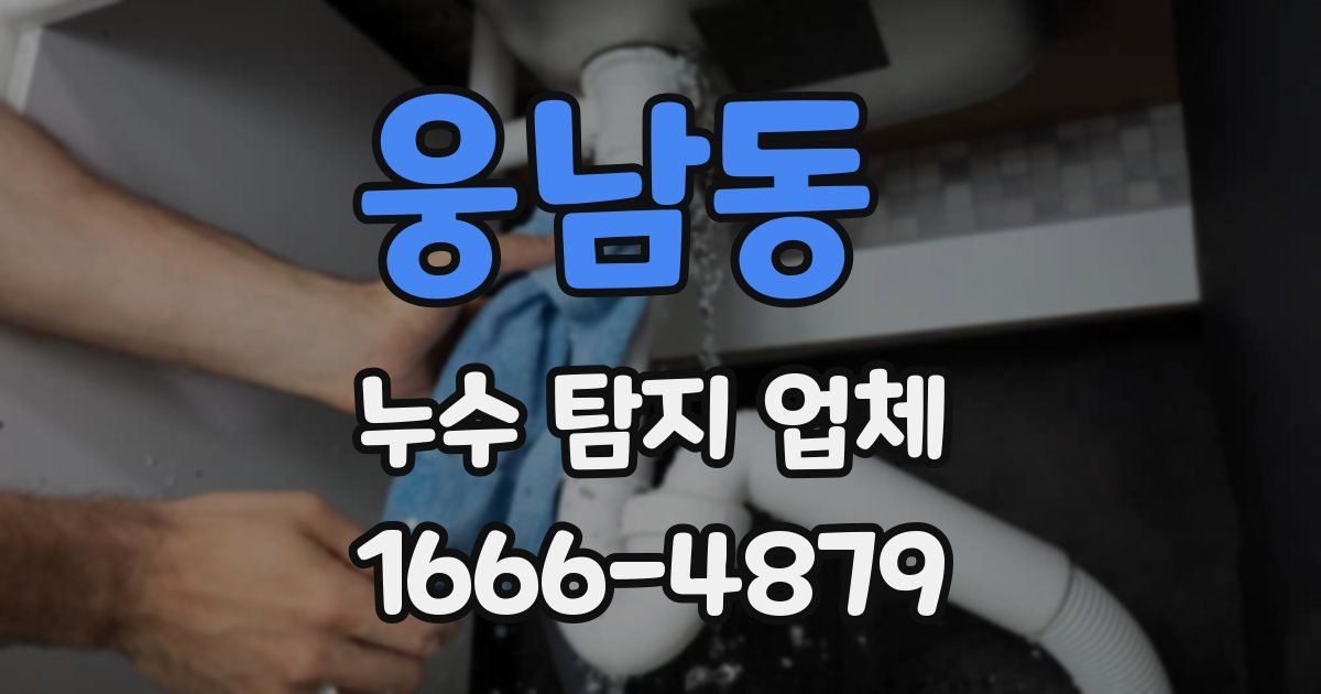 웅남동 누수 탐지 업체
