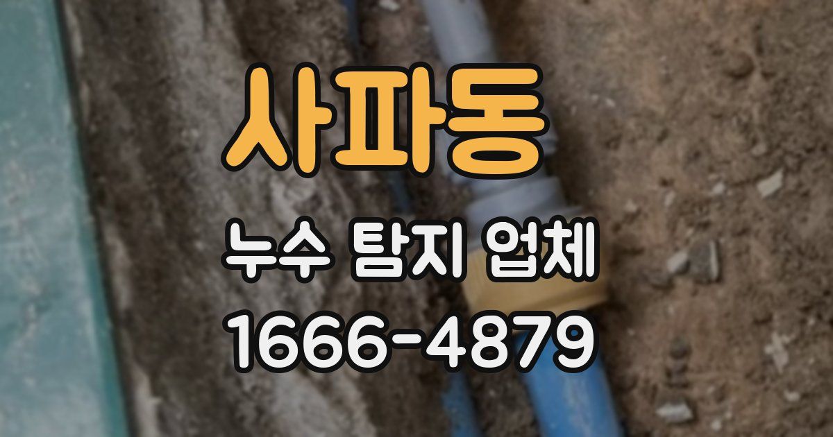 사파동 누수 탐지 업체