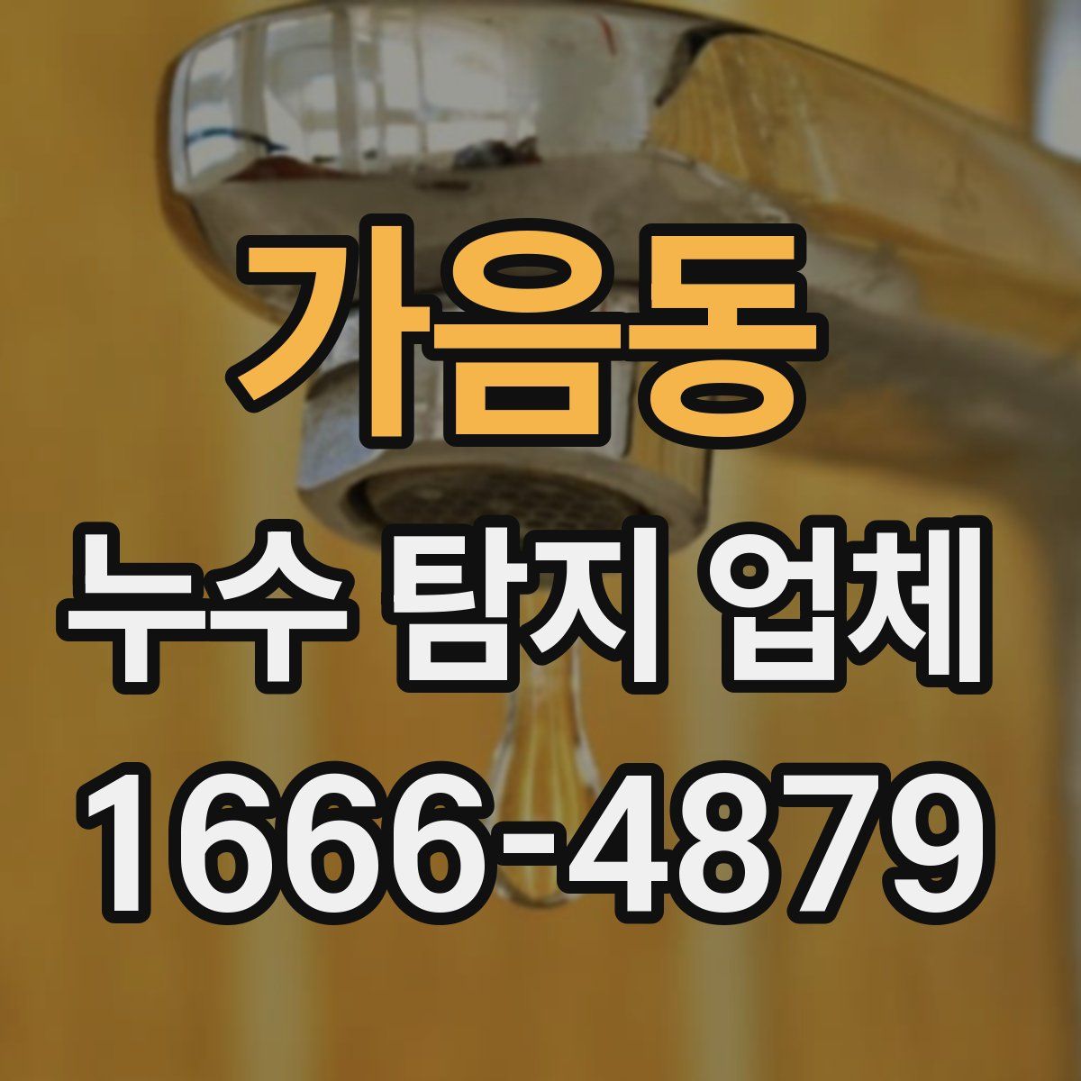가음동 누수 탐지 업체