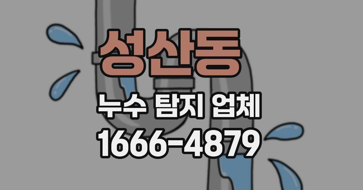 성산동 누수 탐지 업체