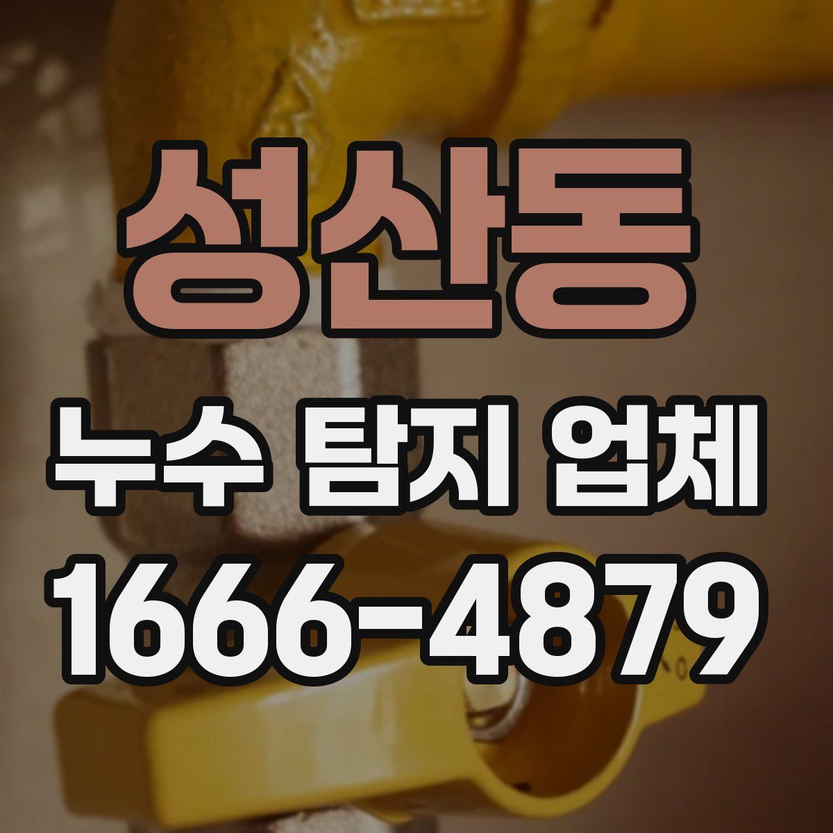 성산동 누수 탐지 업체