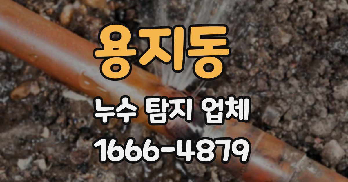 용지동 누수 탐지 업체