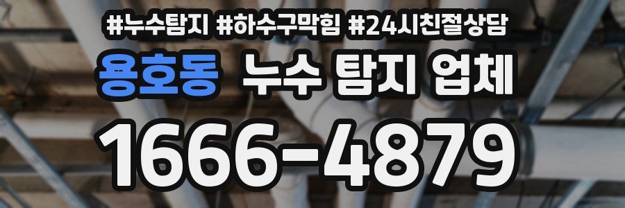 용호동 누수 탐지 업체