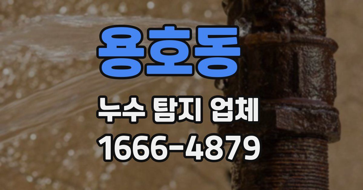 용호동 누수 탐지 업체