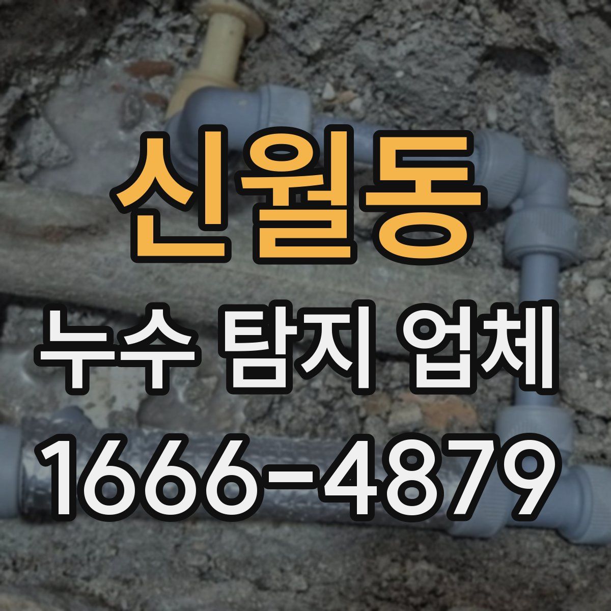 신월동 누수 탐지 업체