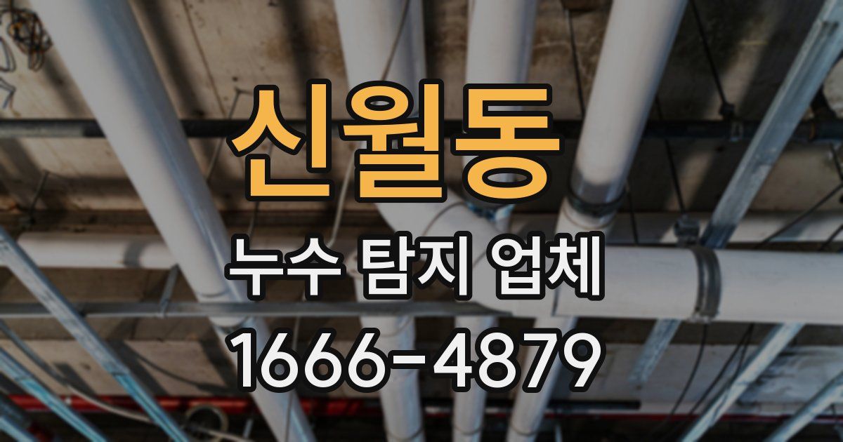 신월동 누수 탐지 업체