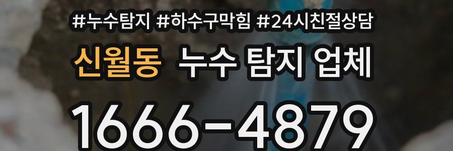 신월동 누수 탐지 업체