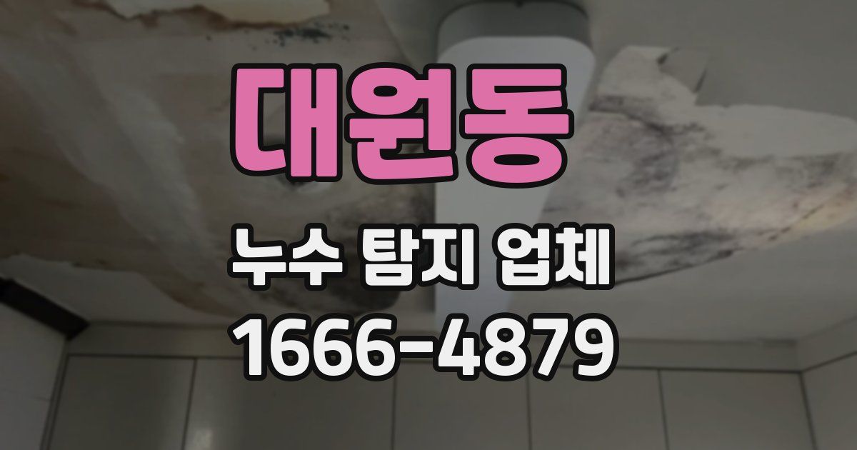 대원동 누수 탐지 업체