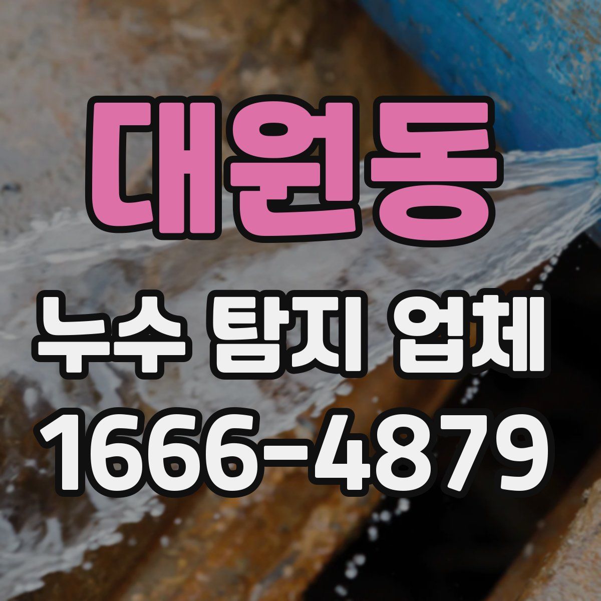대원동 누수 탐지 업체