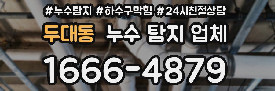두대동 누수 탐지 업체
