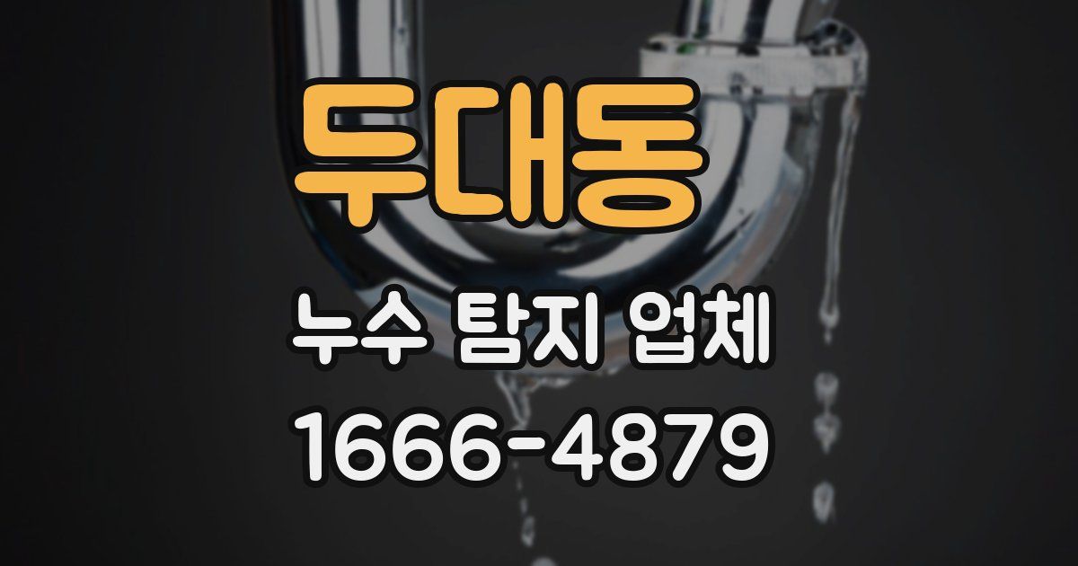 두대동 누수 탐지 업체
