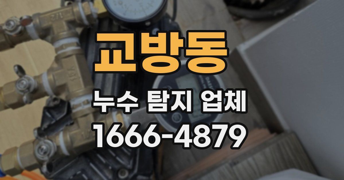교방동 누수 탐지 업체